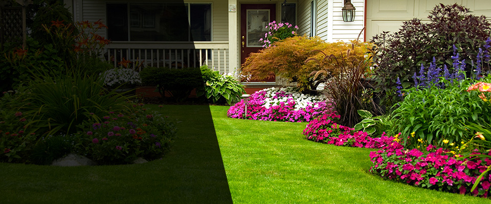 Derry Landscapers