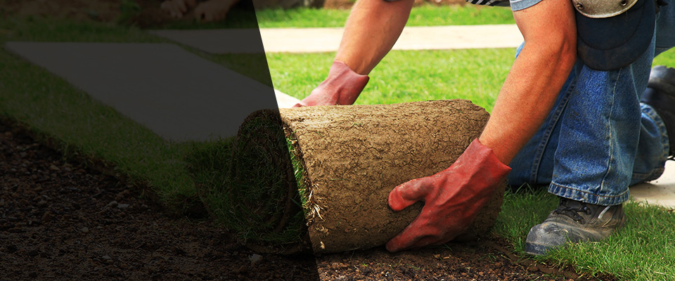 Derry Landscapers